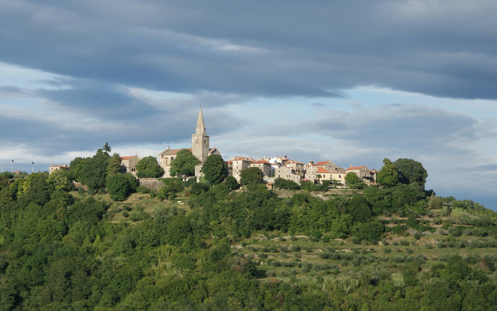 Het kunstenaarsdorp Grožnjan met zijn kerktoren op een heuveltop, omringd door groene hellingen