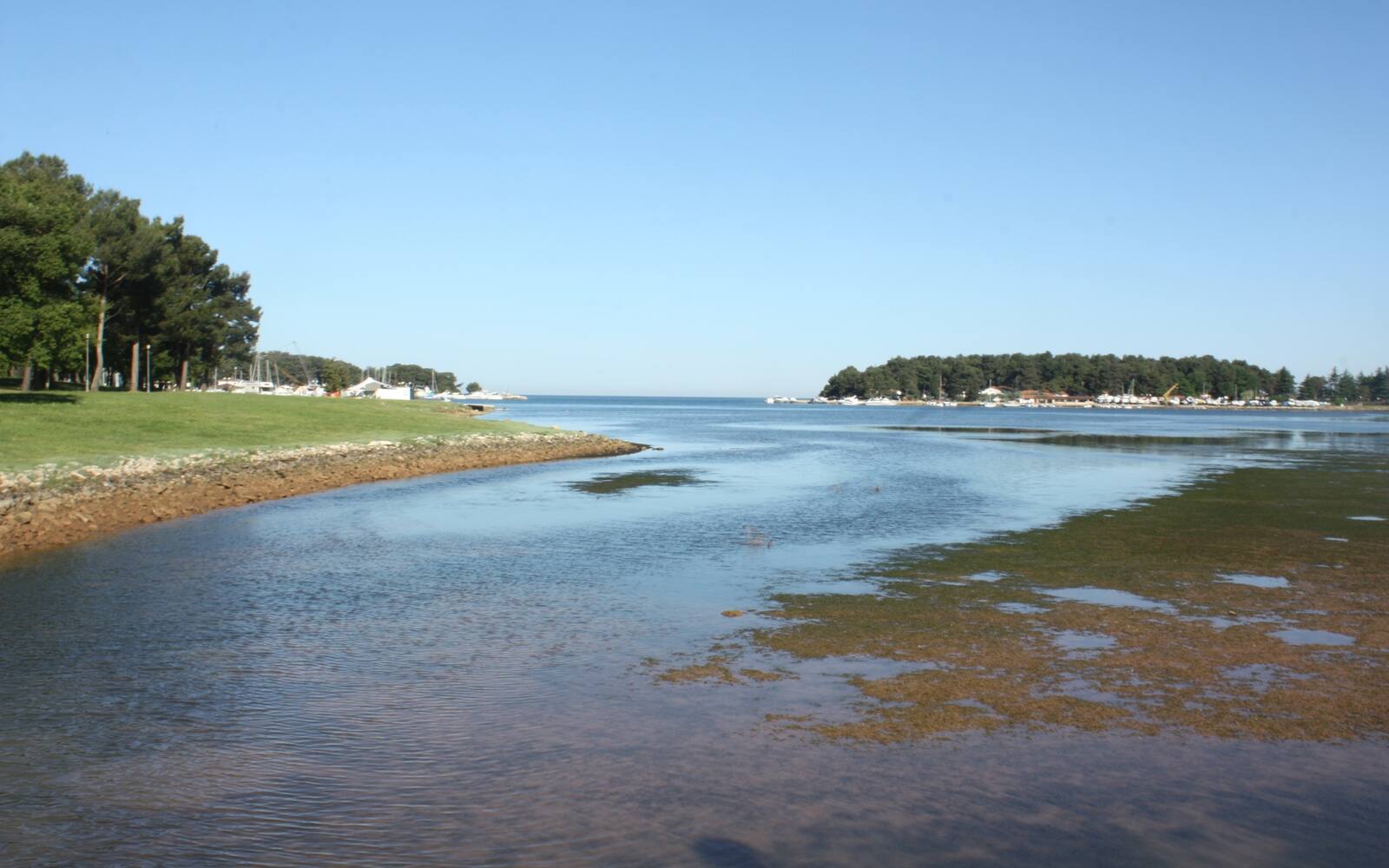 Ondiep, helder water in een lagune bij Poreč met een grasoever en bomen langs de kust