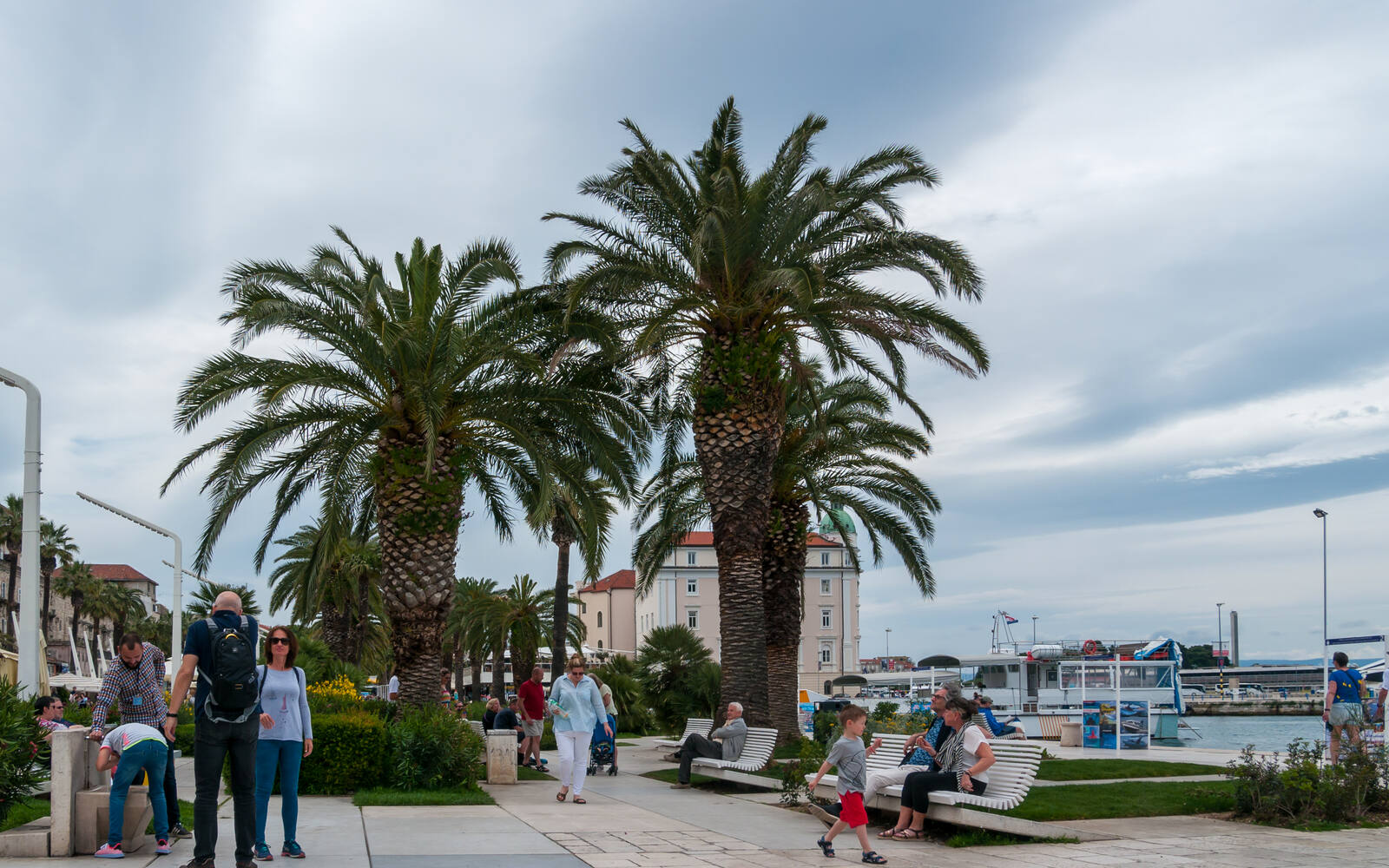 Palmenpromenade aan de Riva in Split met bankjes, borders en historische gebouwen langs de haven